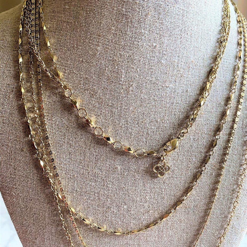 Stella and Dot La Coco Curb Chain Necklace